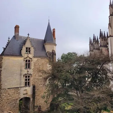 Alberzh - Authentique Et Vue Cathedrale Nantes