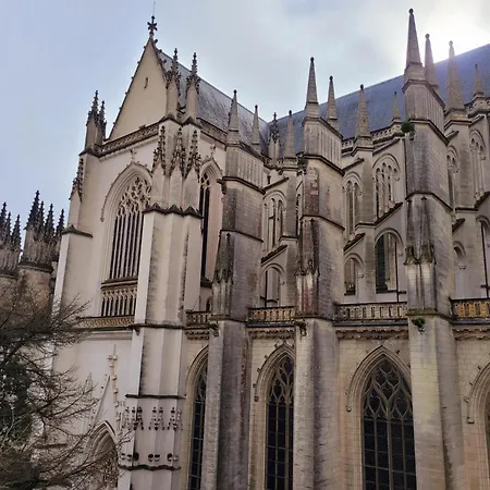 Apartament Alberzh - Authentique Et Vue Cathedrale Nantes